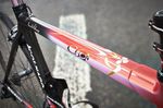 Feiner Paintjob - alle Rahmen werden bei Colnago in Handarbeit lackiert.