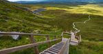stairway to heaven_Nordirland_Cuilcagh Lakelands