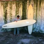 polyola surfboard blanks