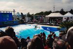 Deutsche Rapid Surf Meisterschaft 2025