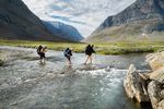 Fjällräven