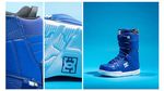 DC Phase Snowboard Boots 2015-2016