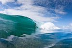 KIMA Padang Mick Curley Pic