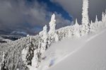 Whitewater Backcountry Powder