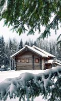 Log Cabin Winter Snow House anywalls.com