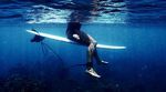 APRICITY / Daria Fuchs / Morgan Maassen