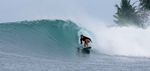 APRICITY / Daria Fuchs / Morgan Maassen