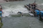 SURFERS TESTIVAL Riverwave Ebensee