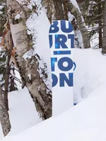 Burton Custom X