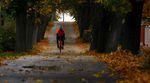 rennrad, fahrrad, herbst, autumn, tipps, fahrradfahren
