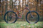 Gebrauchtes Mountainbike kaufen