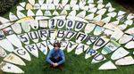 1000 Surfboard Graveyard